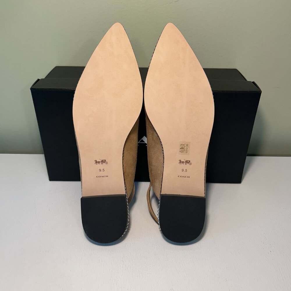 Coach Women's VAE Suede Skimmer Ballet Flat - Picture 11 of 14